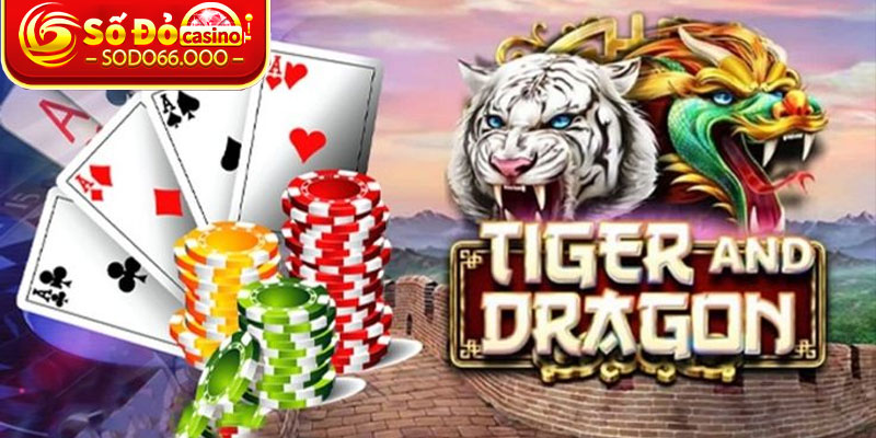 Cách chơi Rồng hổ dễ dàng mà hấp dẫn tuyệt đối 