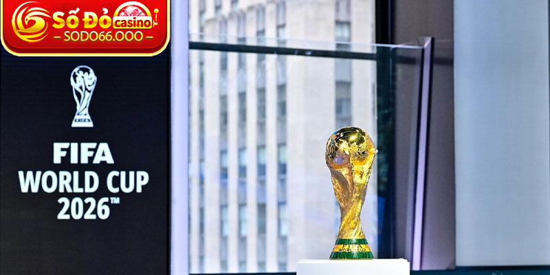 Cái nhìn tổng quan về vòng loại World Cup 