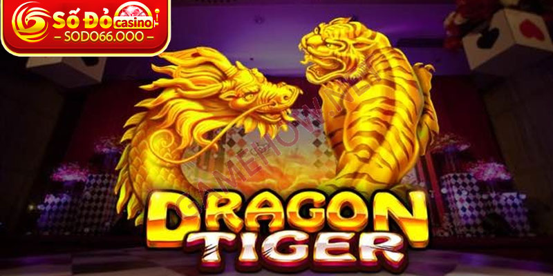Nắm bắt những nhân tố cốt lõi có trong Rồng Hổ 